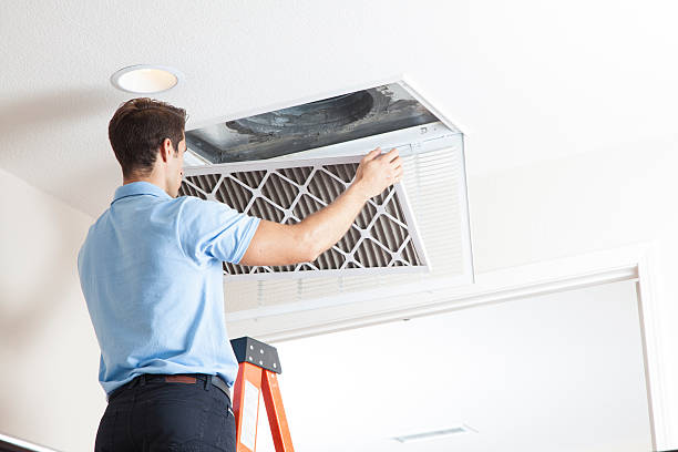 Best Air quality test  in Langhorne, PA